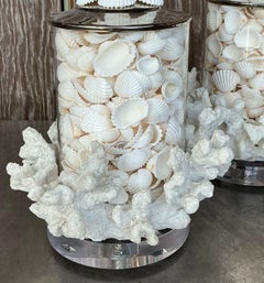Vintage Coastal Faux Coral and Shell Lamps - a Pair