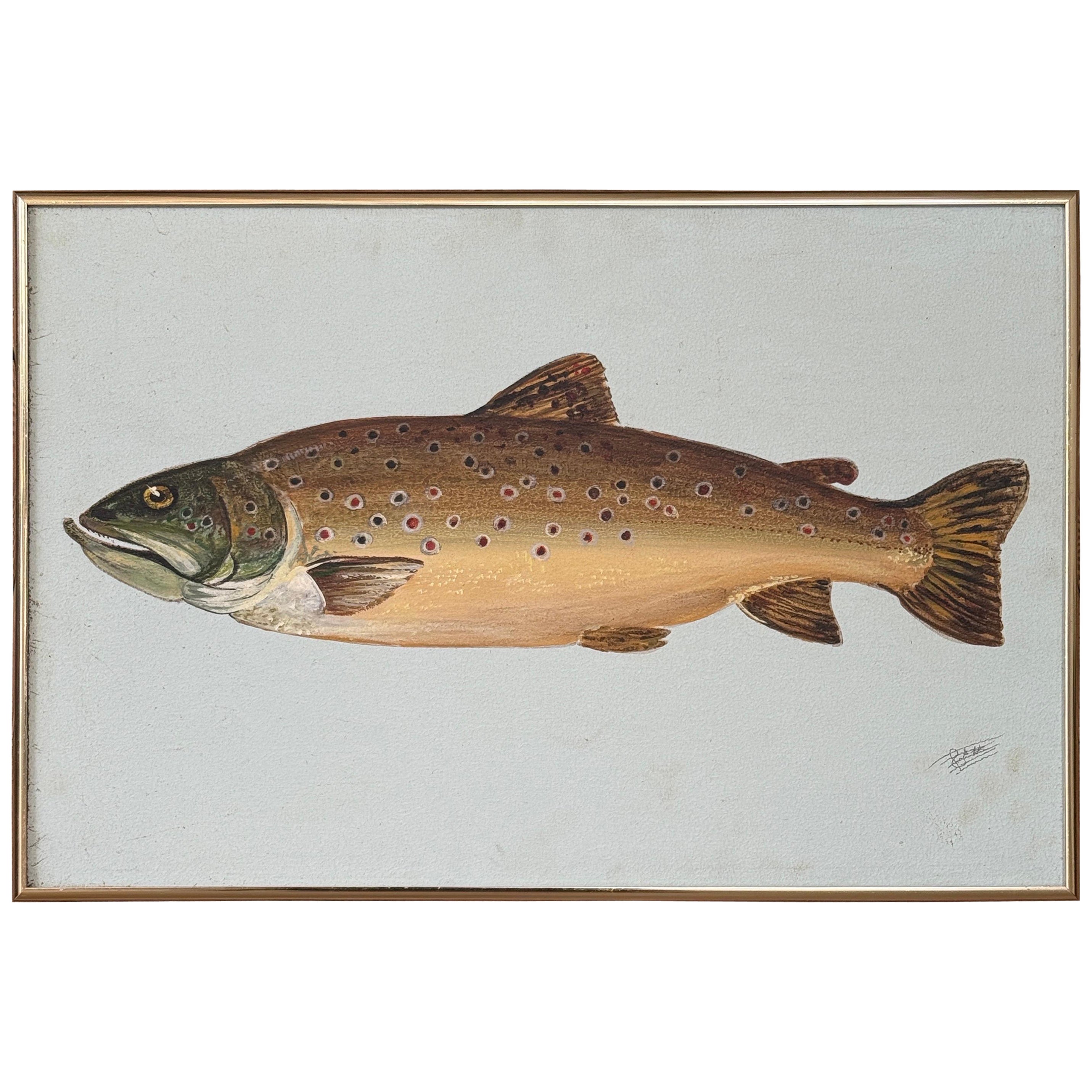 Vintage Coastal Folk Art Fish Painting – Framed Fish Study Painting of a rout