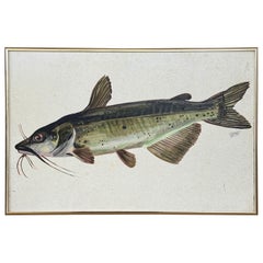 Vintage Coastal Folk Art Painting – Framed Fish Study Painting of a Catfish