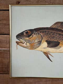 Vintage Coastal Folk Art Painting – Framed Fish Study Painting of Atlantic Cod