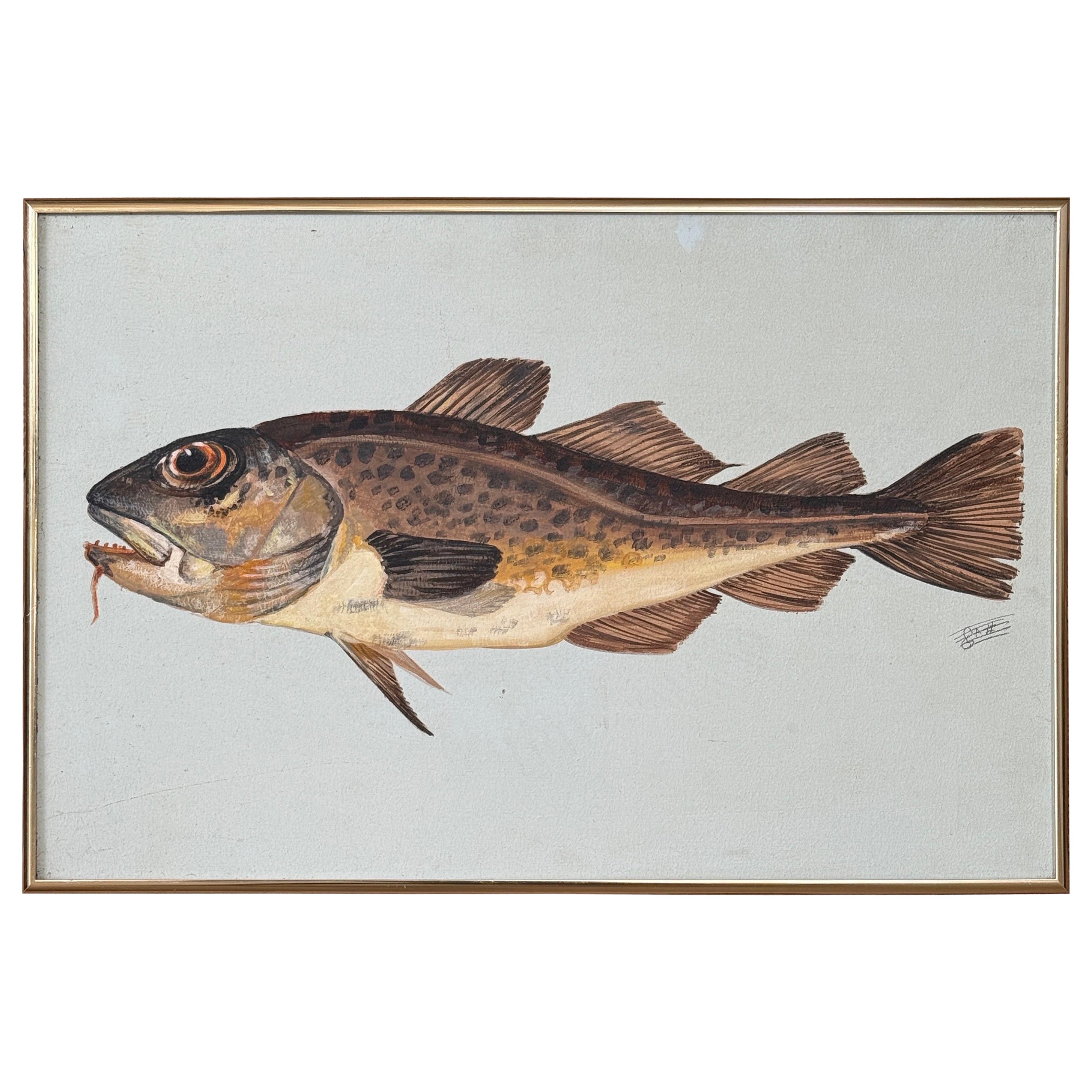 Vintage-Gemälde im Stil der Küsten-Volkskunst – Gerahmtes Fischstudienbild einer Atlantischen Kabeljau