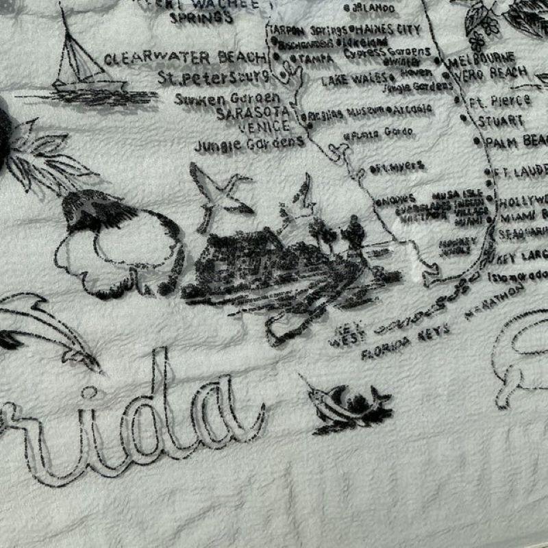 Textile Vintage Coastal Framed Florida Map