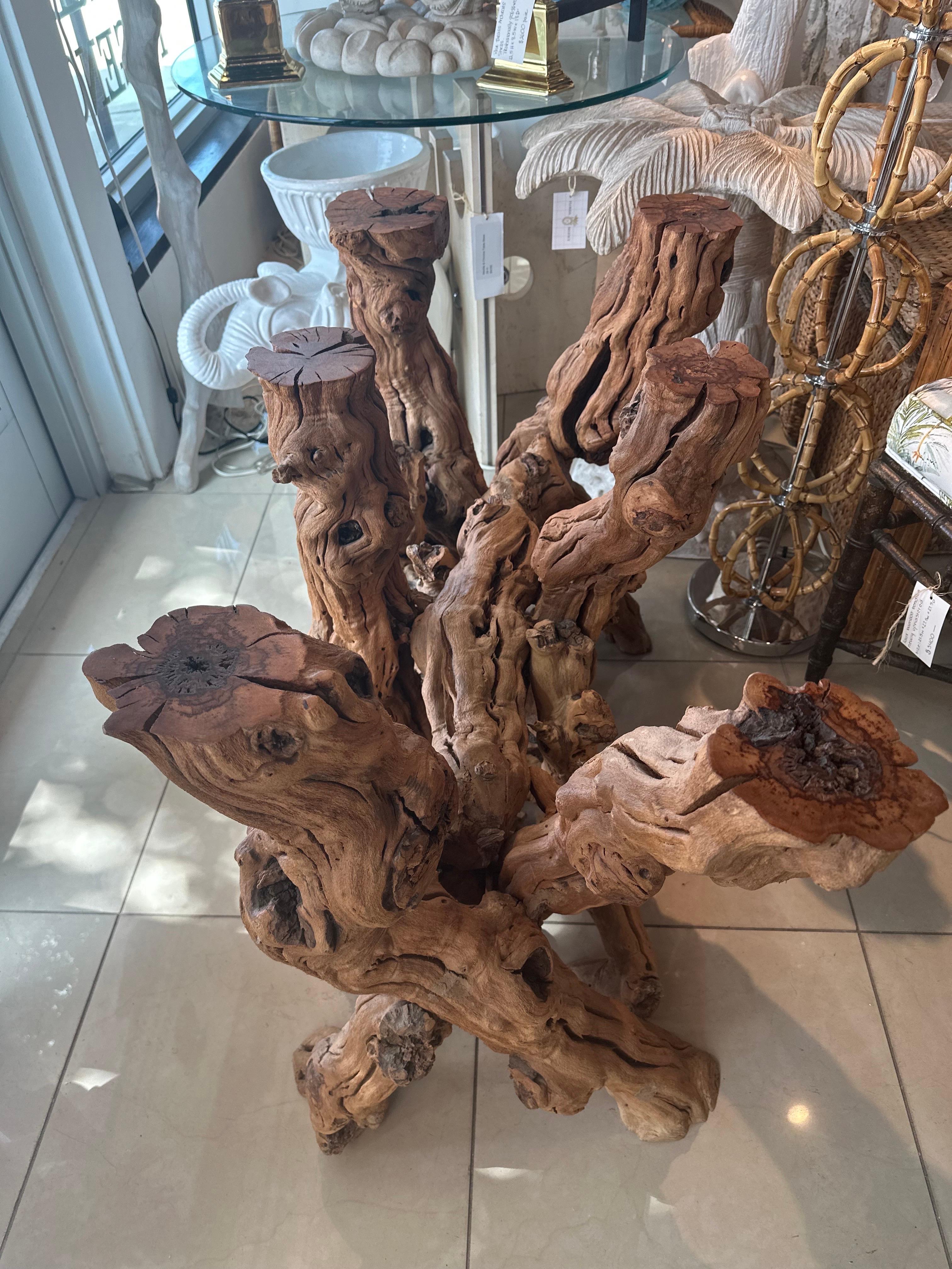 Vintage Coastal Freeform Cypress Root Burl Wood Driftwood Root Dining Table Base 7