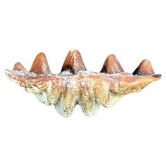 Concha de Almeja Vintage Coastal Gigas Resina