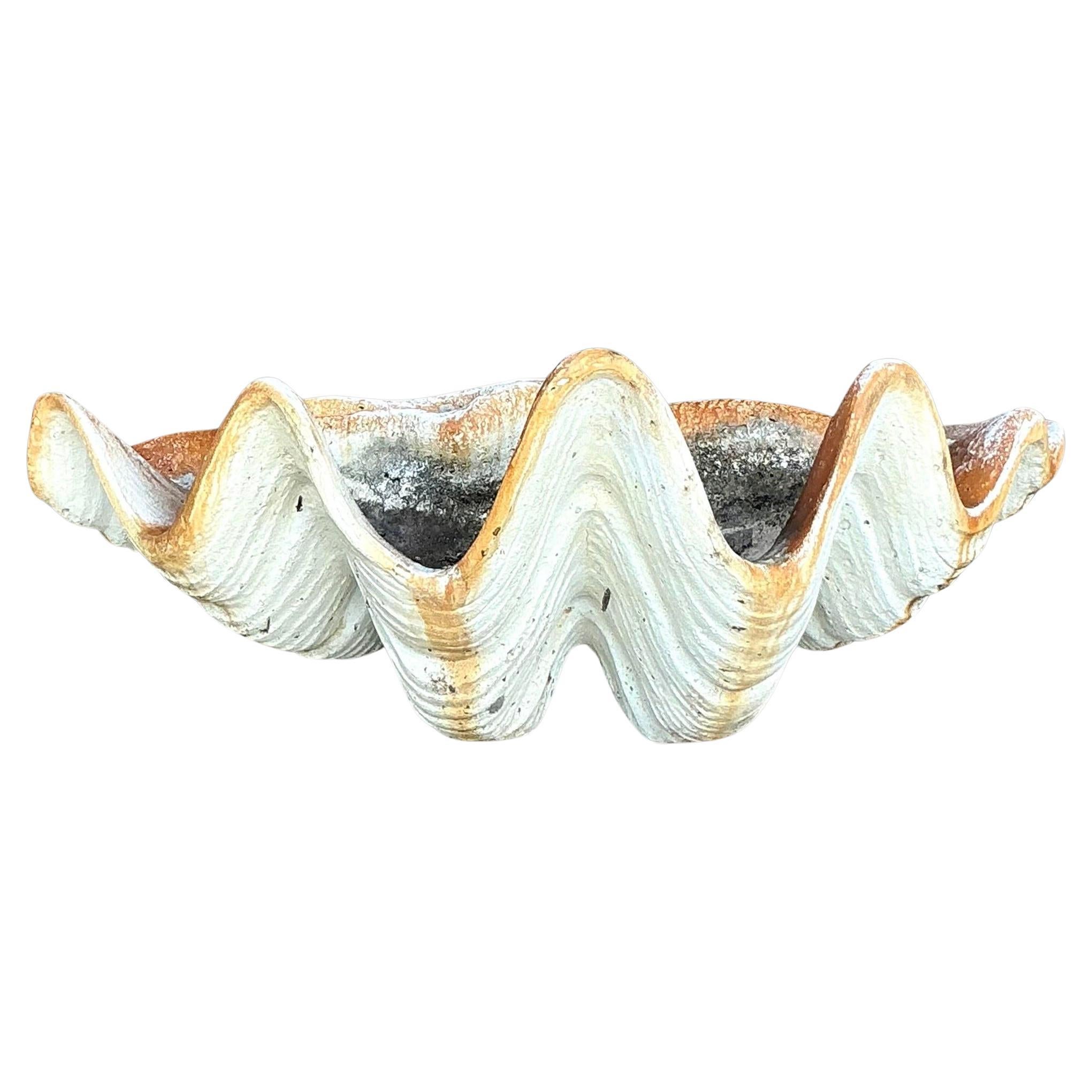 Concha de Almeja Vintage Coastal Gigas Resina