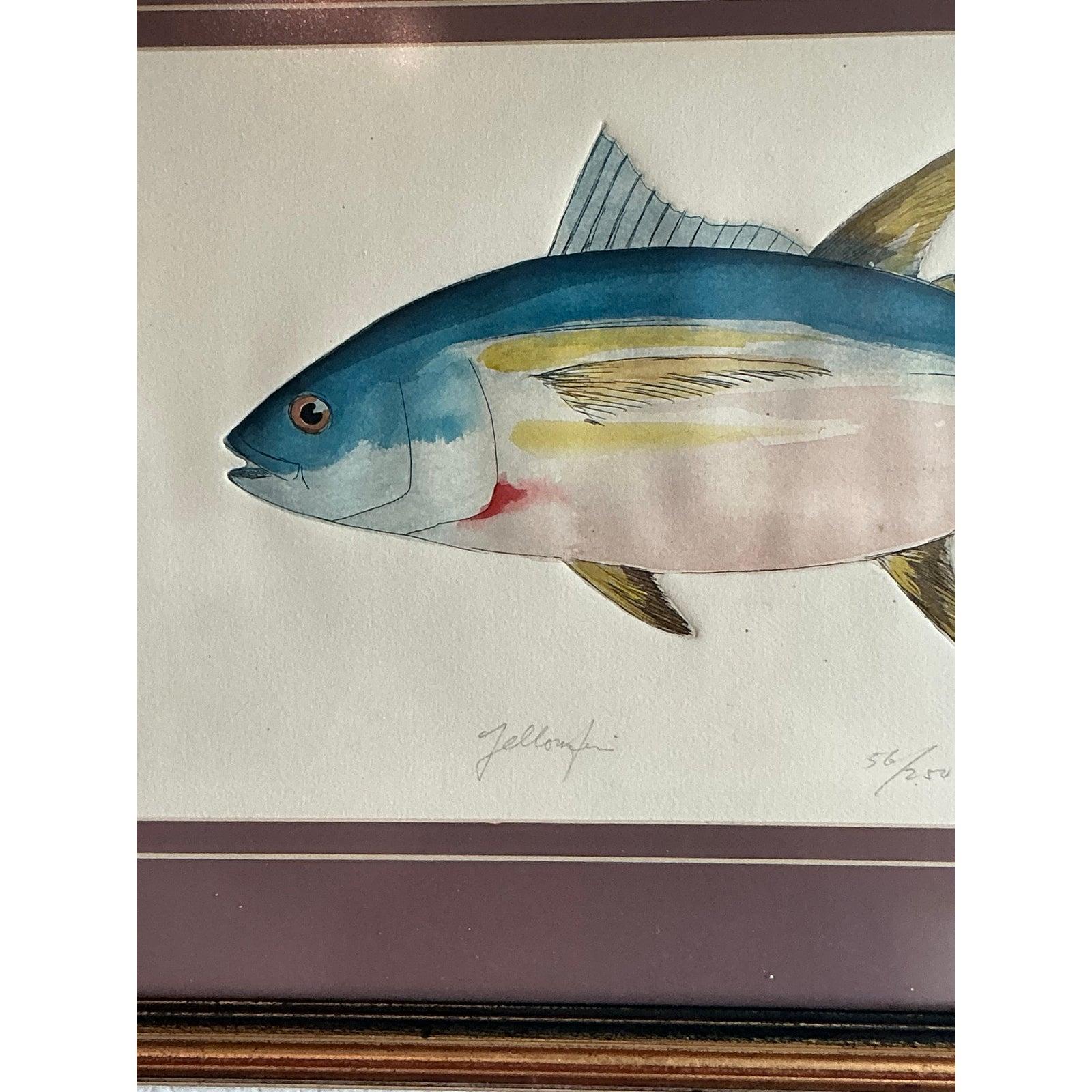 Vintage Coastal Hand koloriert Fisch Lithographie auf Papier im Zustand „Gut“ im Angebot in West Palm Beach, FL
