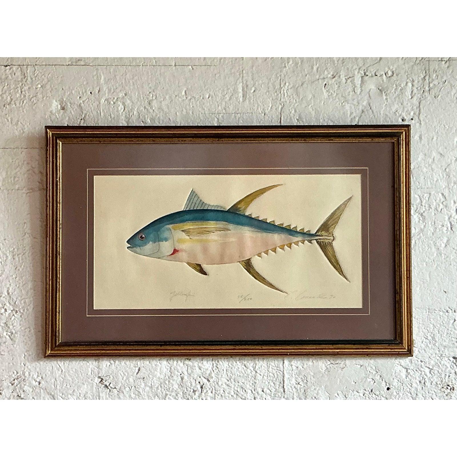 Vintage Coastal Hand koloriert Fisch Lithographie auf Papier im Angebot 3
