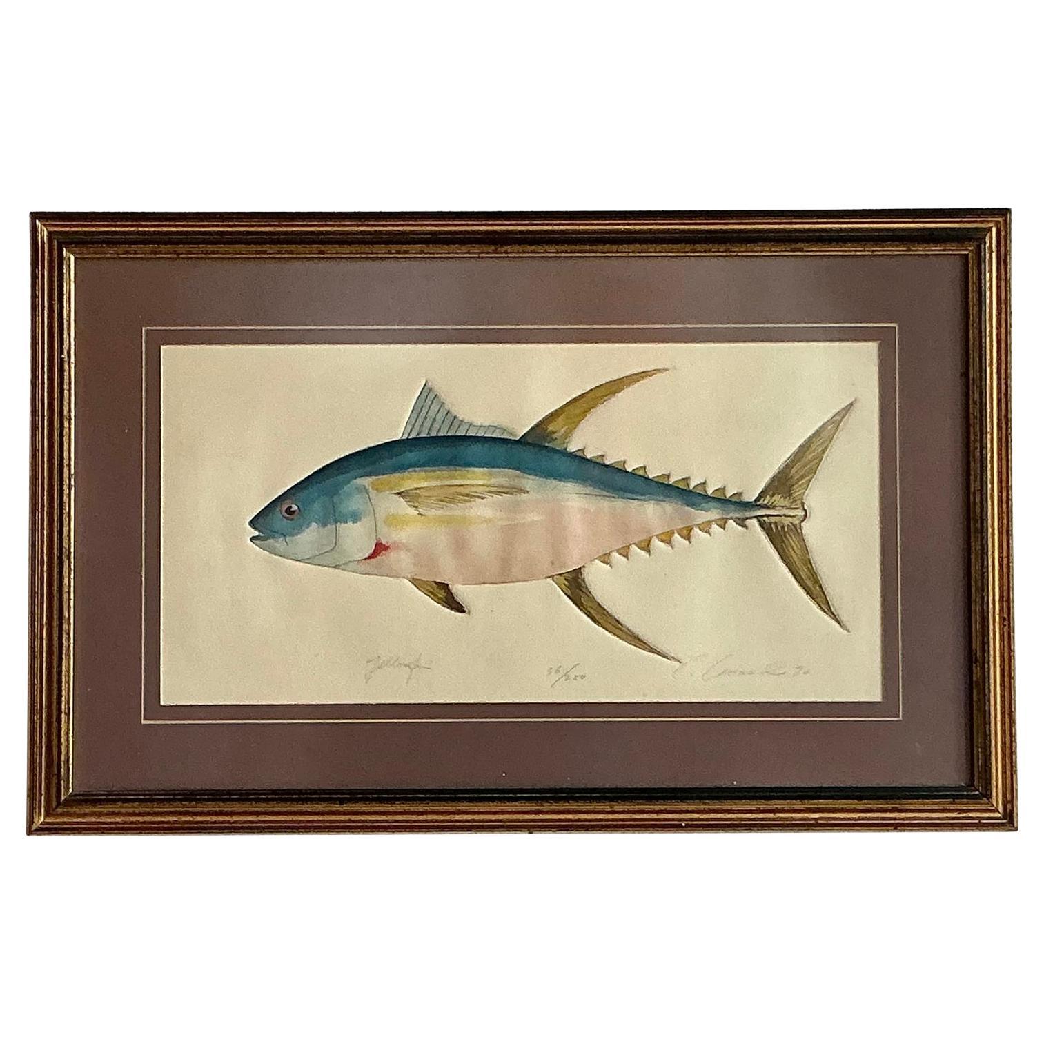 Litografía costera vintage de peces coloreados a mano sobre papel