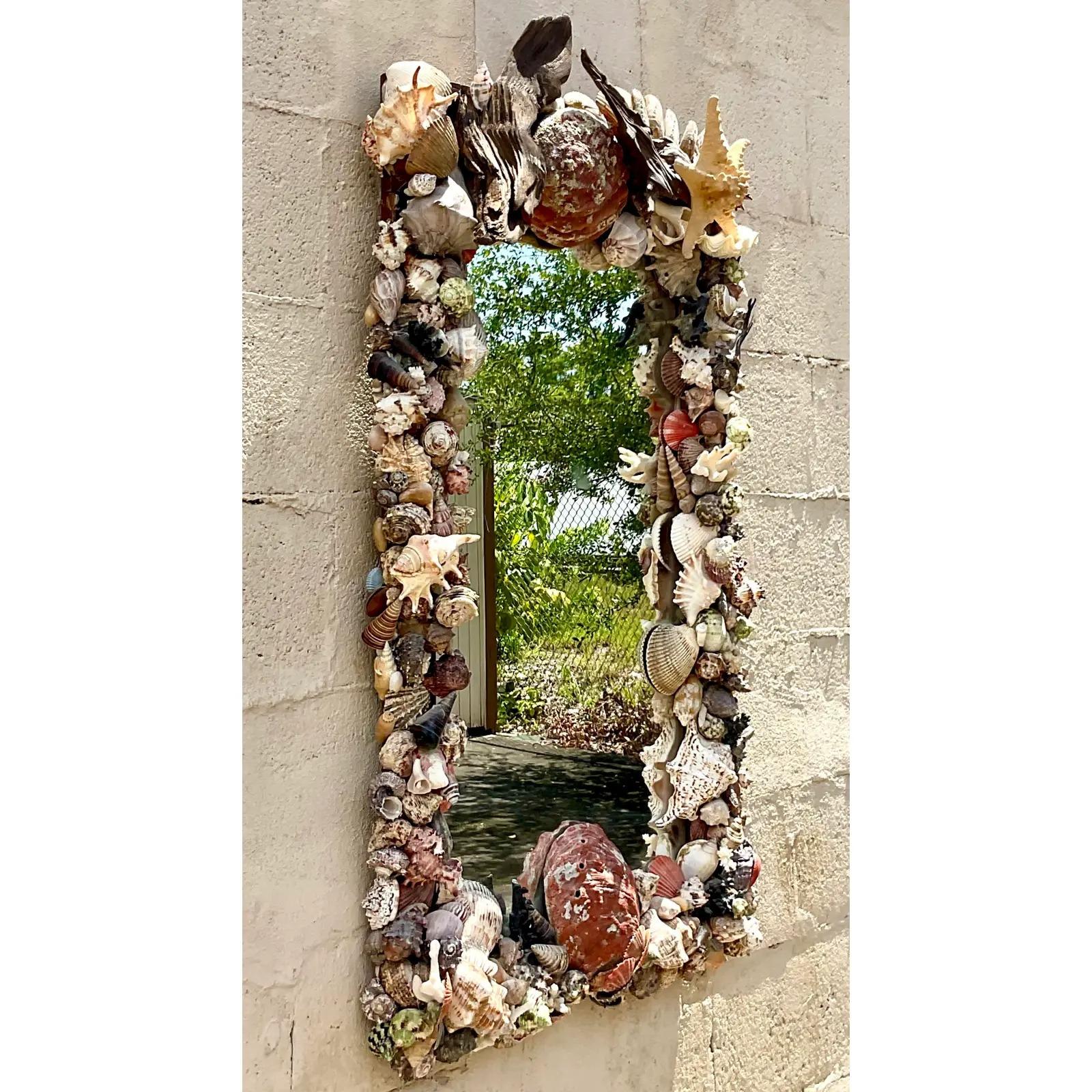 Incredible vintage Coastal wall mirror. A chic hand made collection of specimen shells. This is a real work of art. Acquired from a Palm Beach estate.
