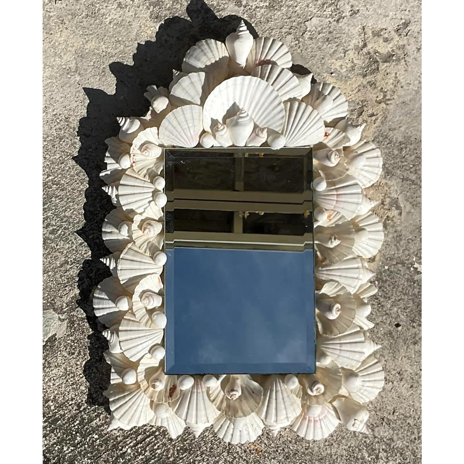 shell mirrors