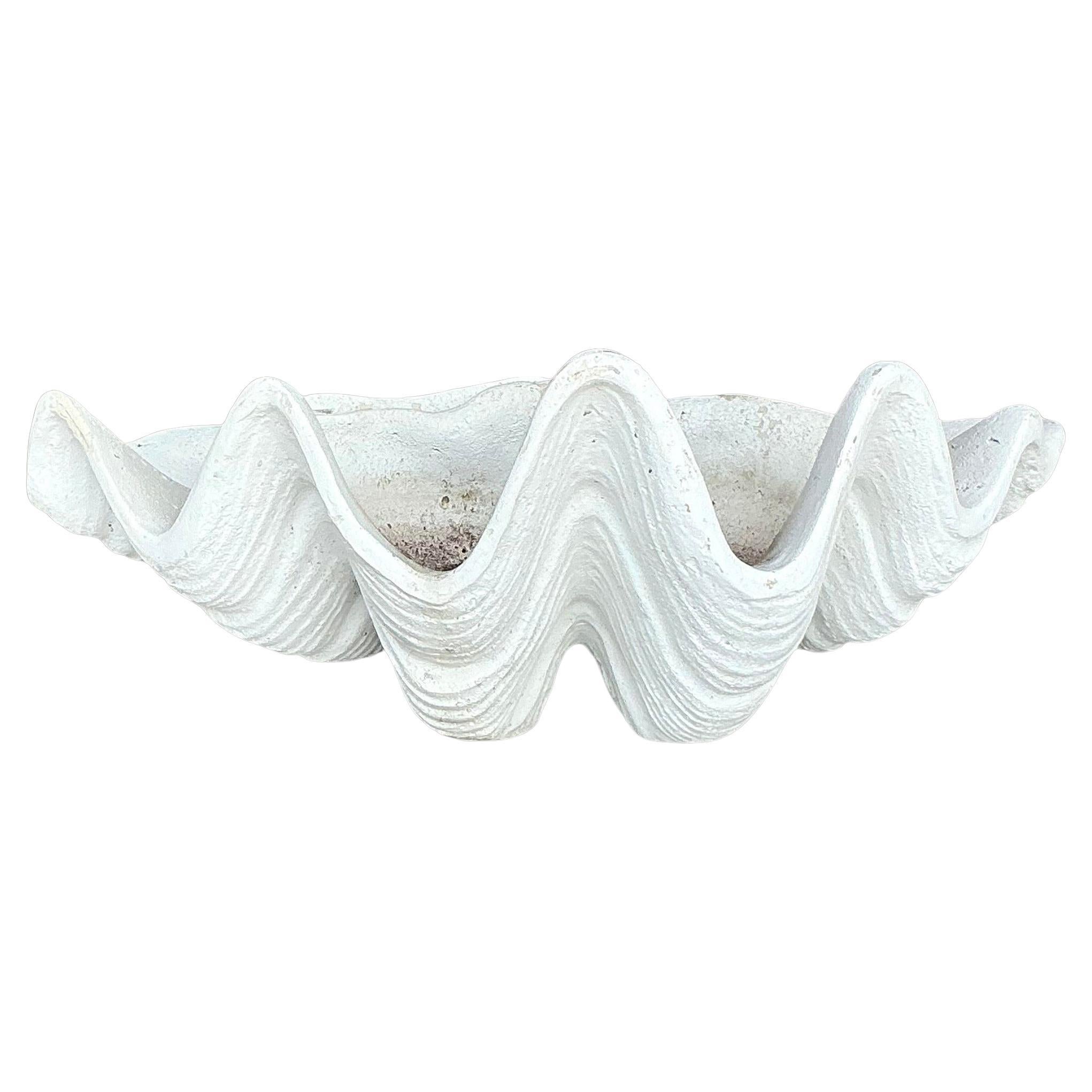 Concha de Almeja Vintage Coastal Monumental Gigas Resina 5