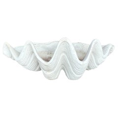 Concha de Almeja Vintage Coastal Monumental Gigas Resina 5