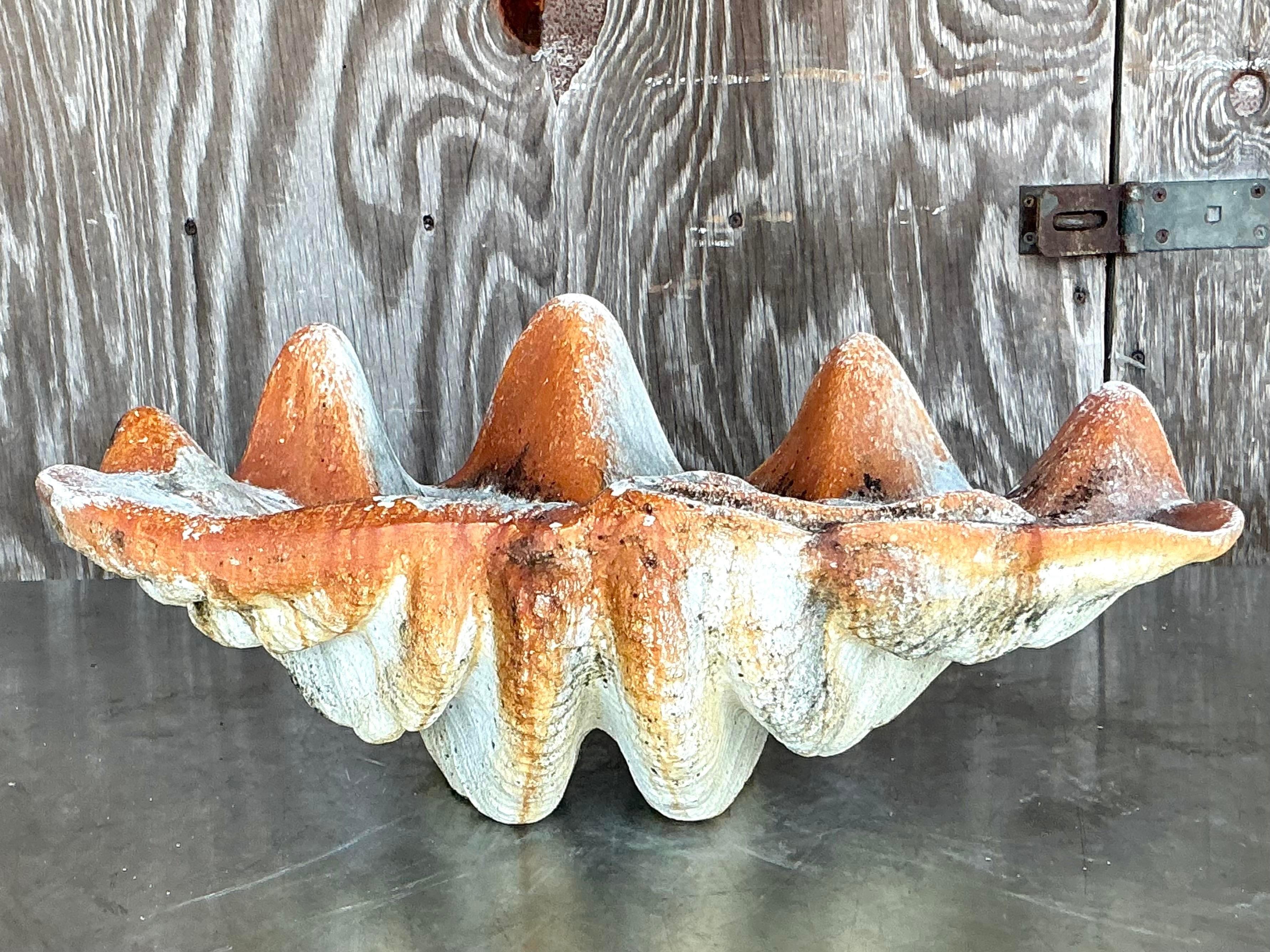 coquillage clams