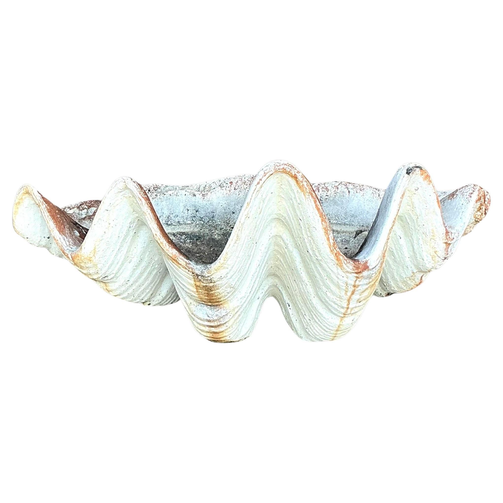 Concha de Almeja Vintage Coastal Monumental Gigas Resina 7