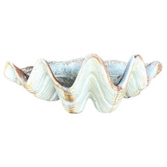 Concha de Almeja Vintage Coastal Monumental Gigas Resina 7