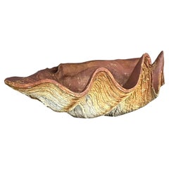 Concha de Almeja Vintage Coastal Monumental Gigas Resina 8