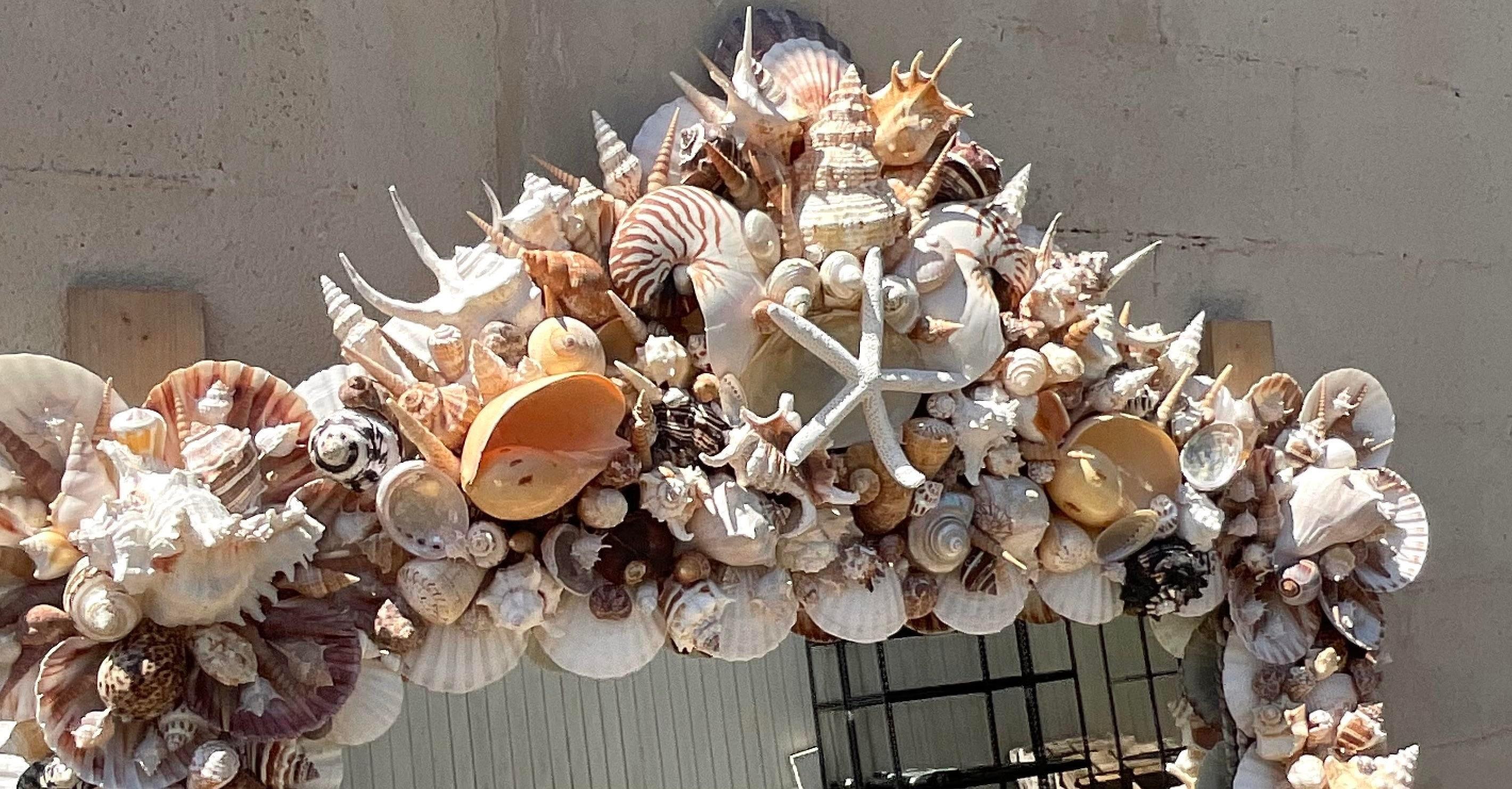 miroir forme coquillage
