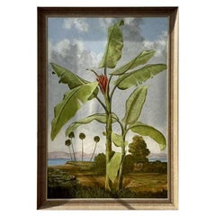 Vintage Coastal Monumental Original Tropical Landscape on Canvas