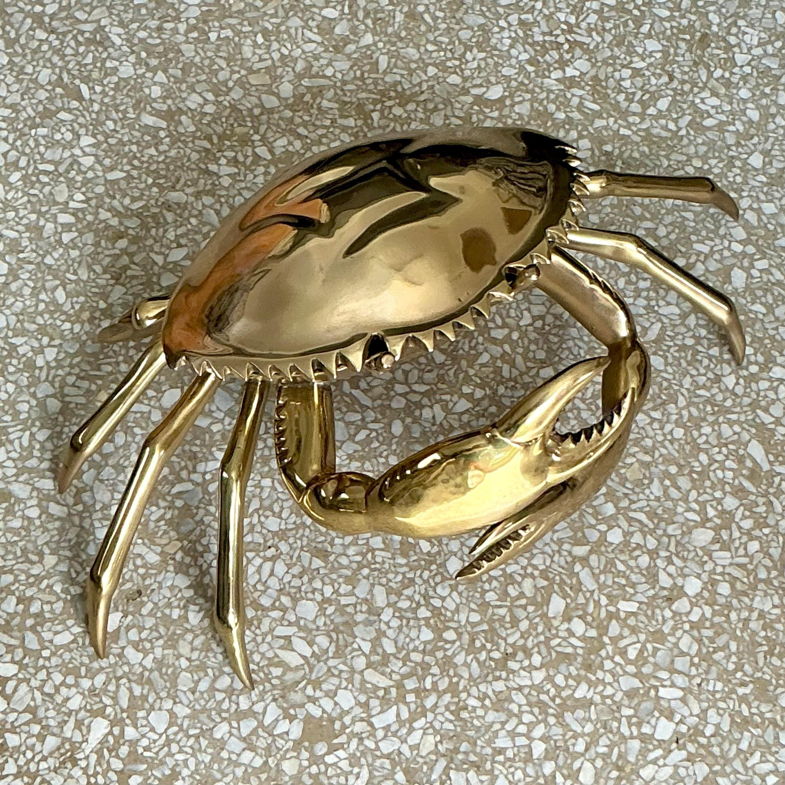 Eleva il tuo arredamento costiero con il Granchio monumentale in ottone lucido Vintage Coastal. Questo pezzo sorprendente, realizzato in ottone lucido, cattura l'essenza del fascino del mare americano. Perfetto come centrotavola o accento