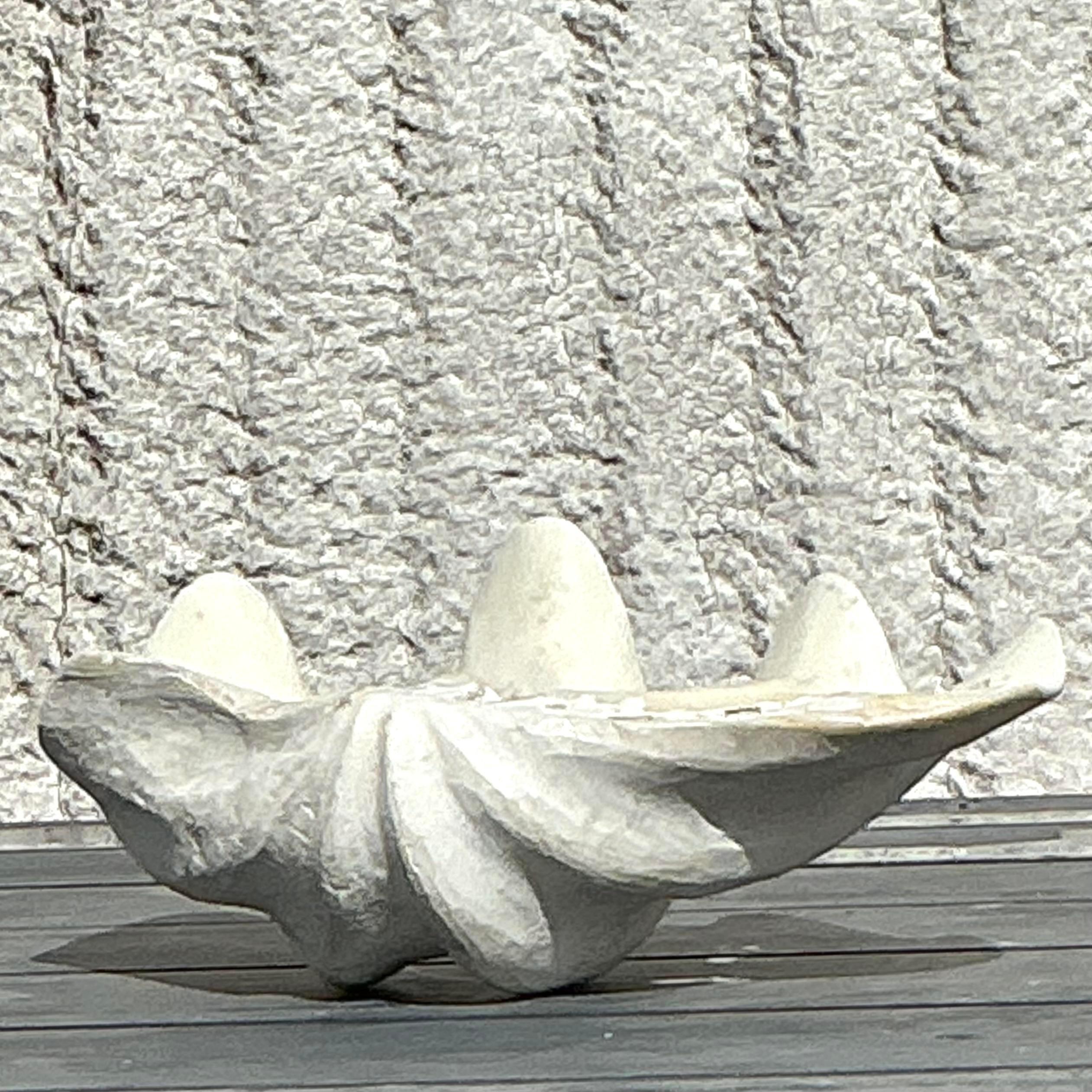 Vintage Coastal Monumental Tridacna Gigas Clam Shell #12 en vente 2