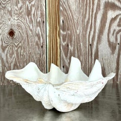 Vintage Coastal Monumental Tridacna Gigas Clam Shell #13