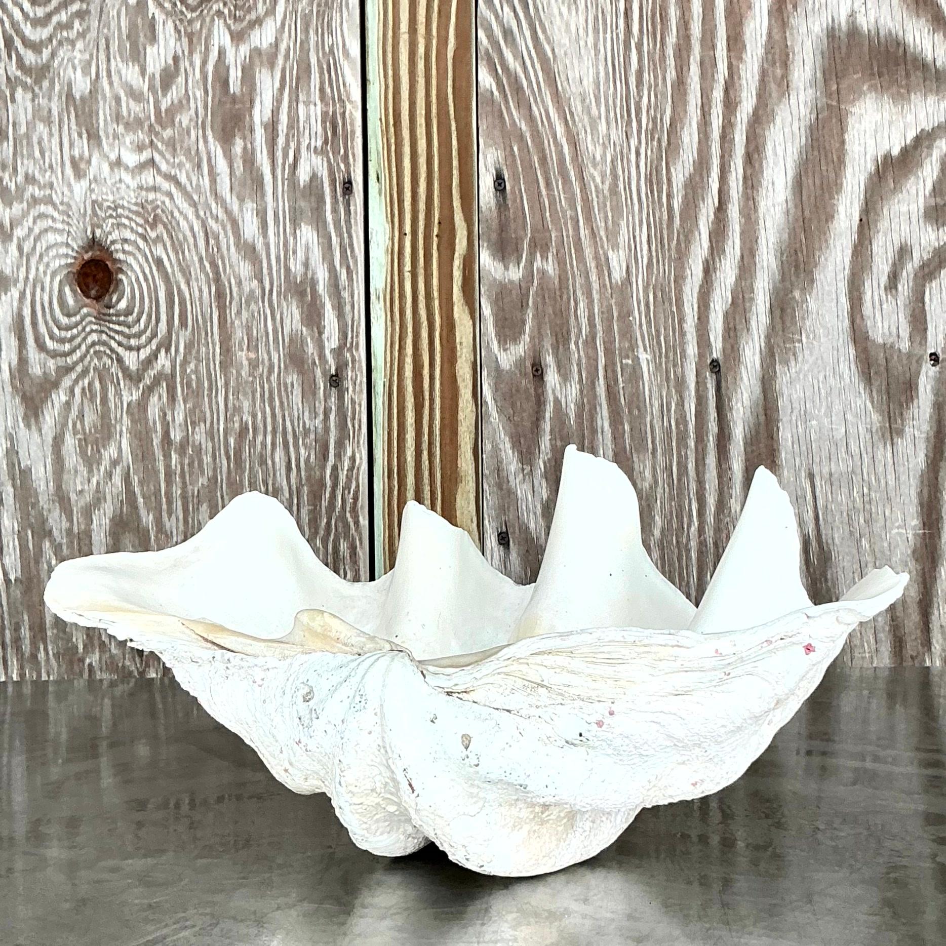 Vintage Coastal Monumental Tridacna Gigas Clam Shell #13 In Good Condition In West Palm Beach, FL