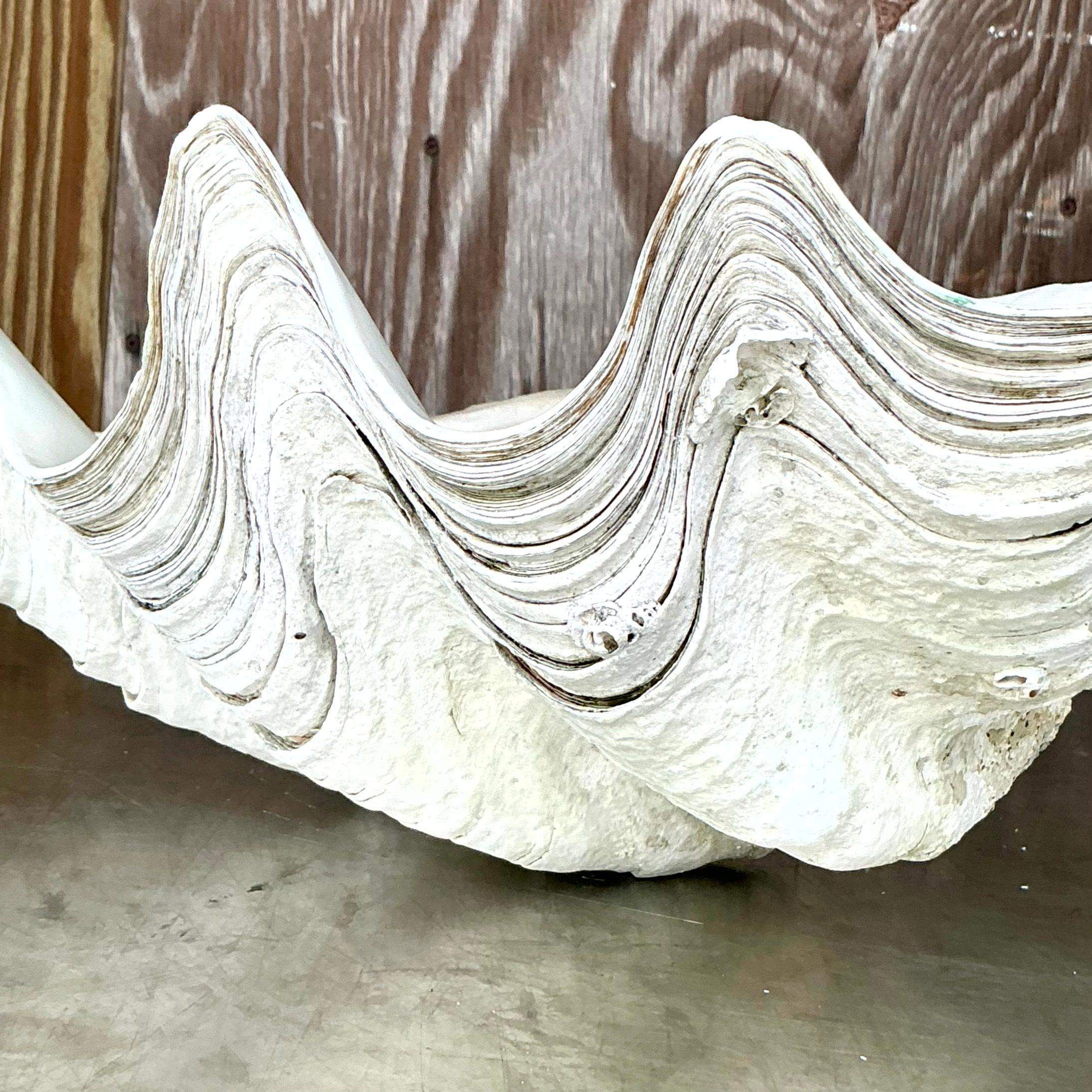 Infusez dans votre espace l'allure majestueuse de l'océan avec cette coquille de palourde Vintage Coastal Monumental Tridacna Gigas. Parfaite pour les intérieurs de style américain, cette pièce étonnante présente des détails complexes et une grande