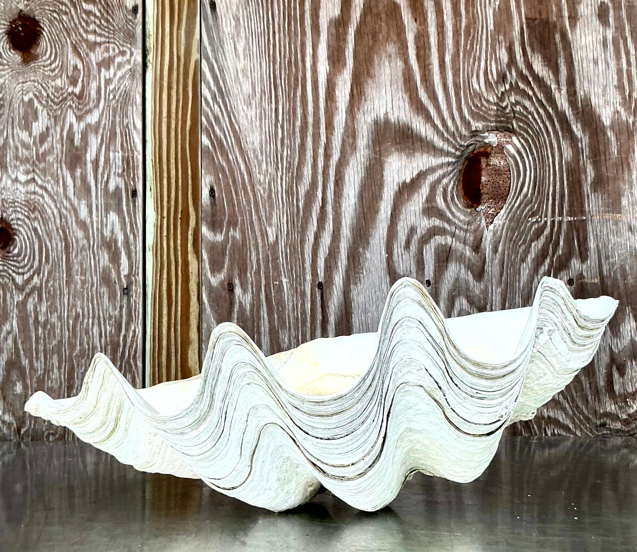 Coquillage Vintage Coastal Monumental Tridacna Gigas Clam Shell #16 en vente