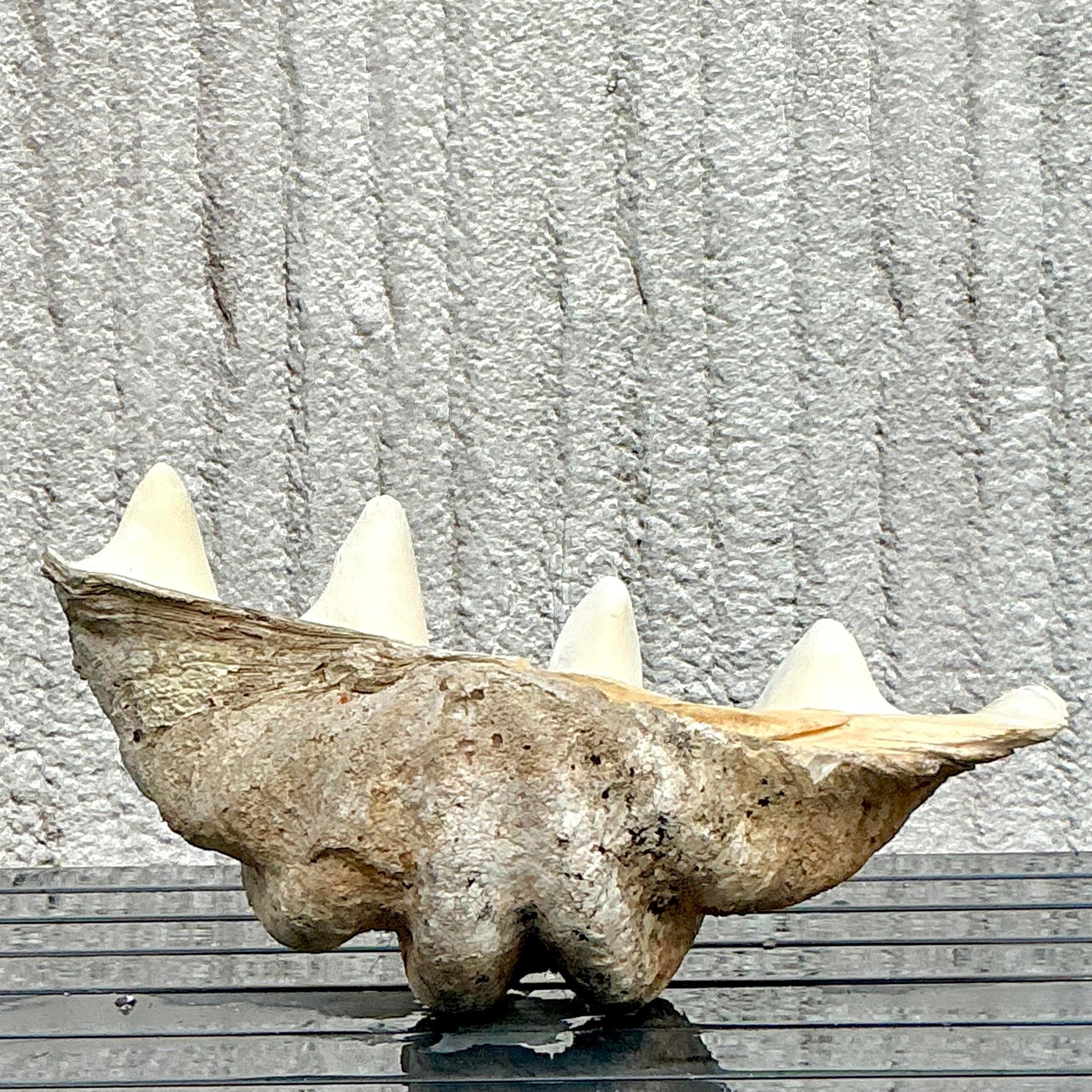 Vintage Coastal Monumental Tridacna Gigas Clam Shell #6 Bon état - En vente à west palm beach, FL