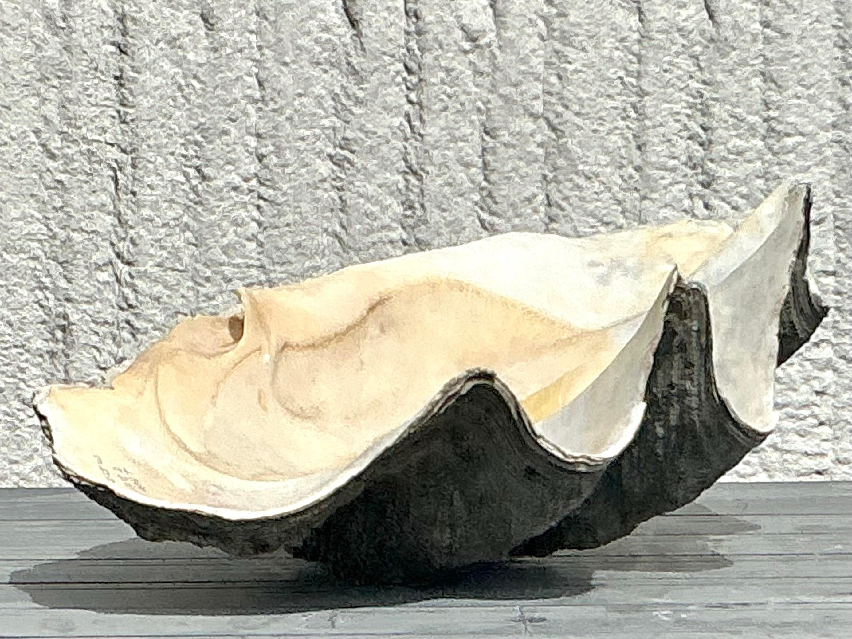 Vintage Coastal Monumental Tridacna Gigas Clamshell #2 1