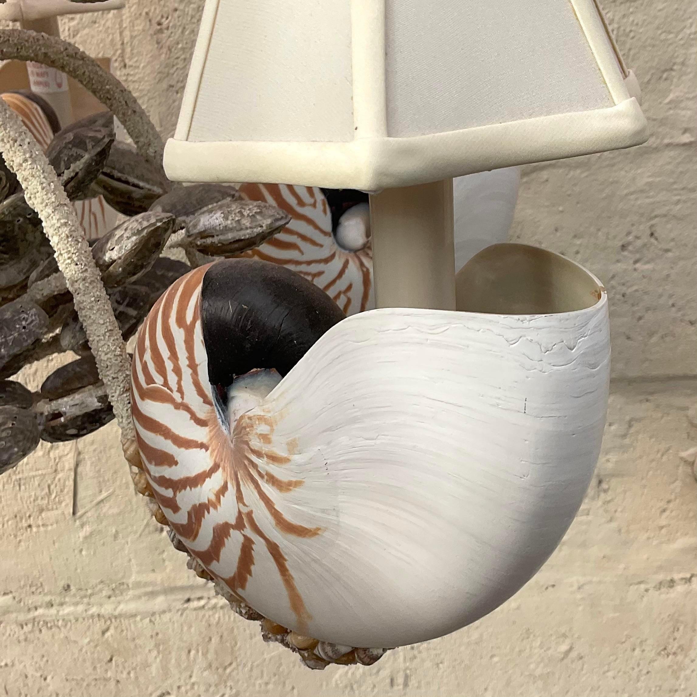 A fabulous vintage Costal chandelier. Beautiful artisan made fixture with gorgeous large Nautilus shells on each arm. Acquired from a Palm Beach estate.