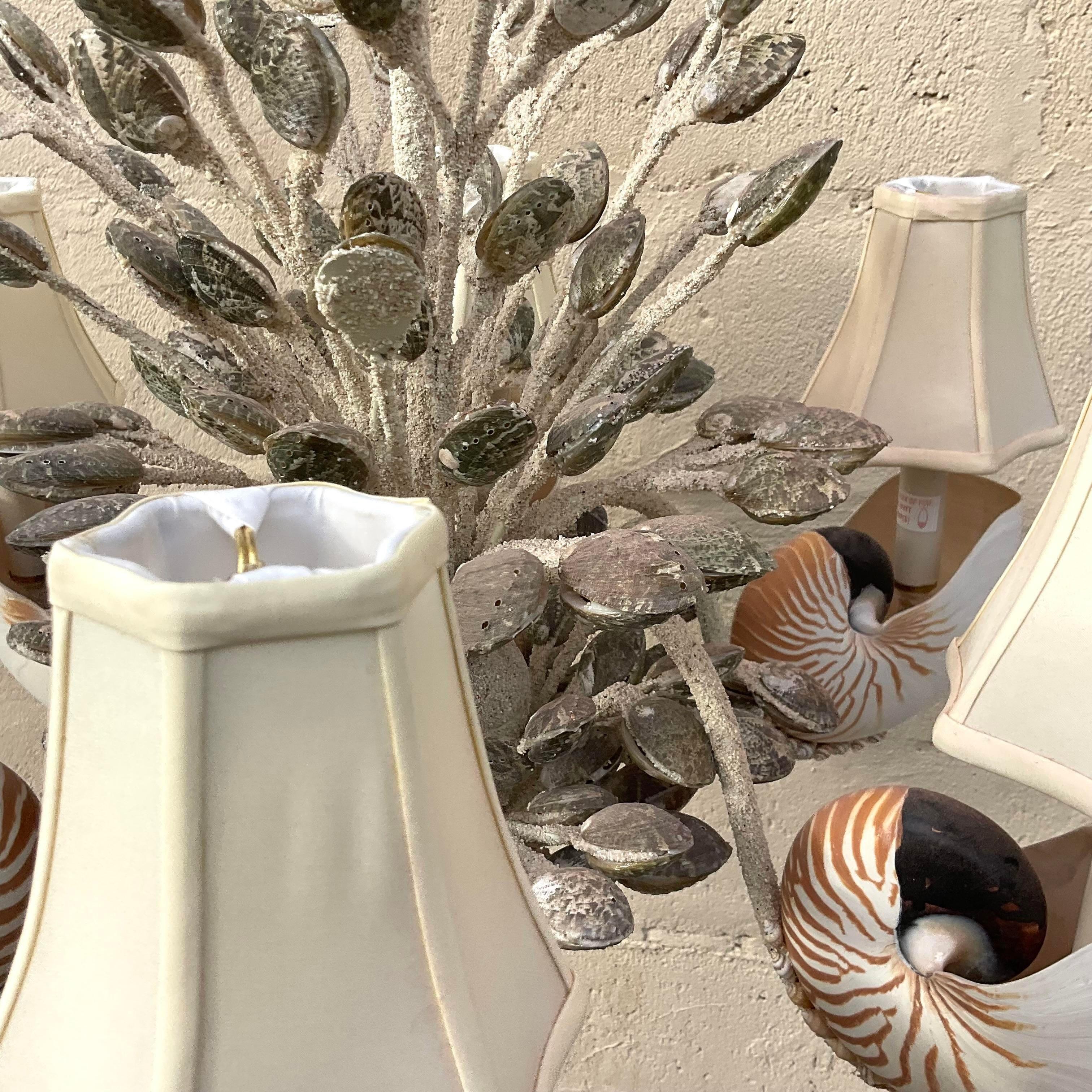 American Vintage Coastal Nautilus Shell Chandelier