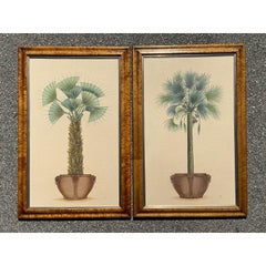 Vintage Coastal Palm Printed - A Pair