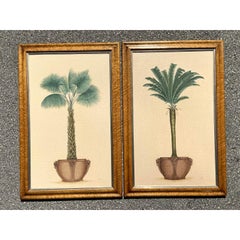 Vintage Coastal Palm Prints - A Pair