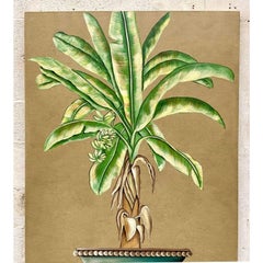 Vintage Coastal Palm Tree Original Oil on Canvas