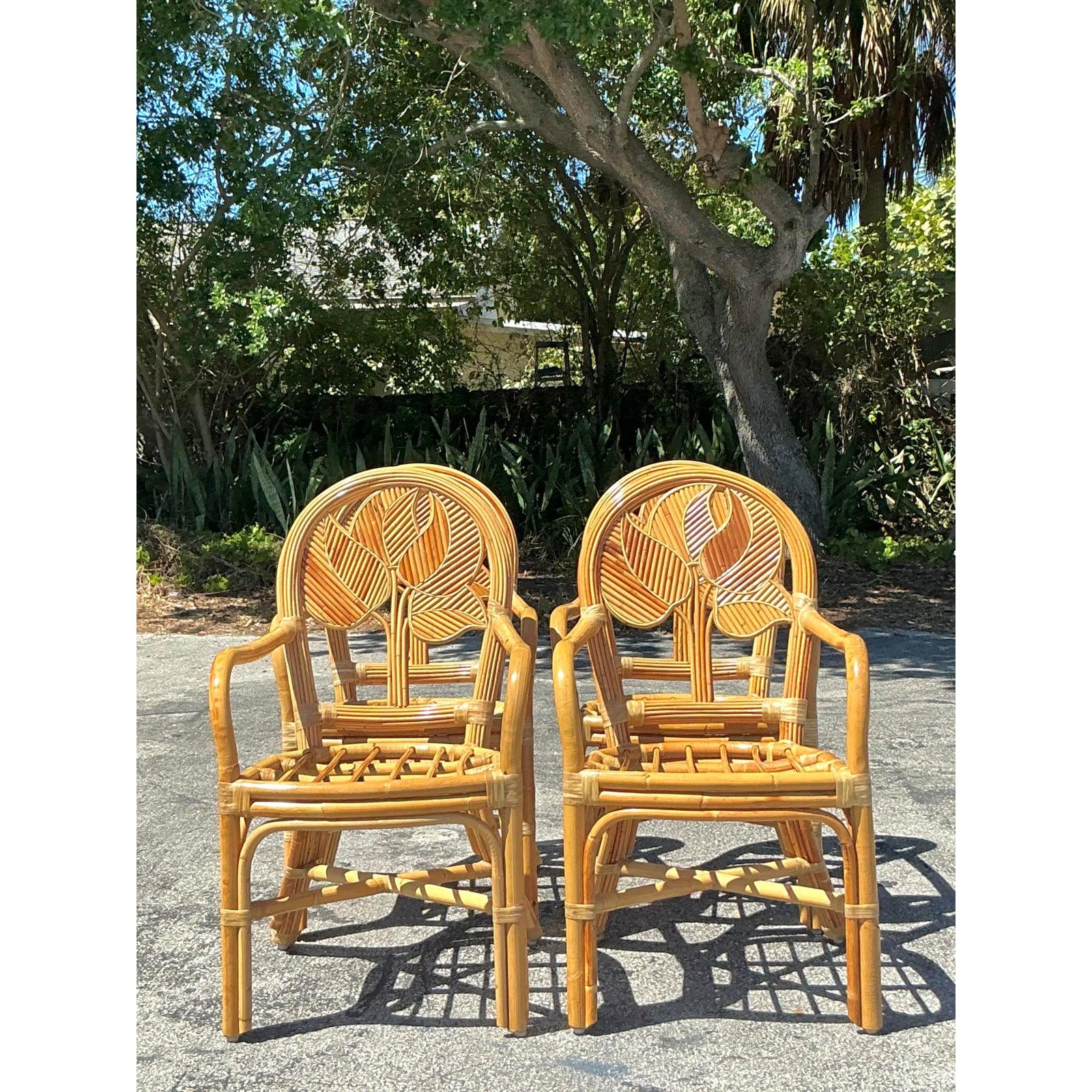 Rattan Sedie da pranzo in canna costiera vintage - Set di 4 in vendita