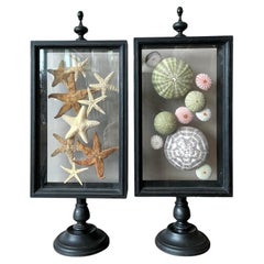 Vintage Coastal Sea Creature Shadowboxes- A Pair