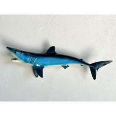 Vintage Coastal Shark Mount