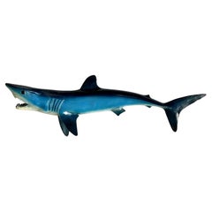 Vintage Coastal Shark Mount