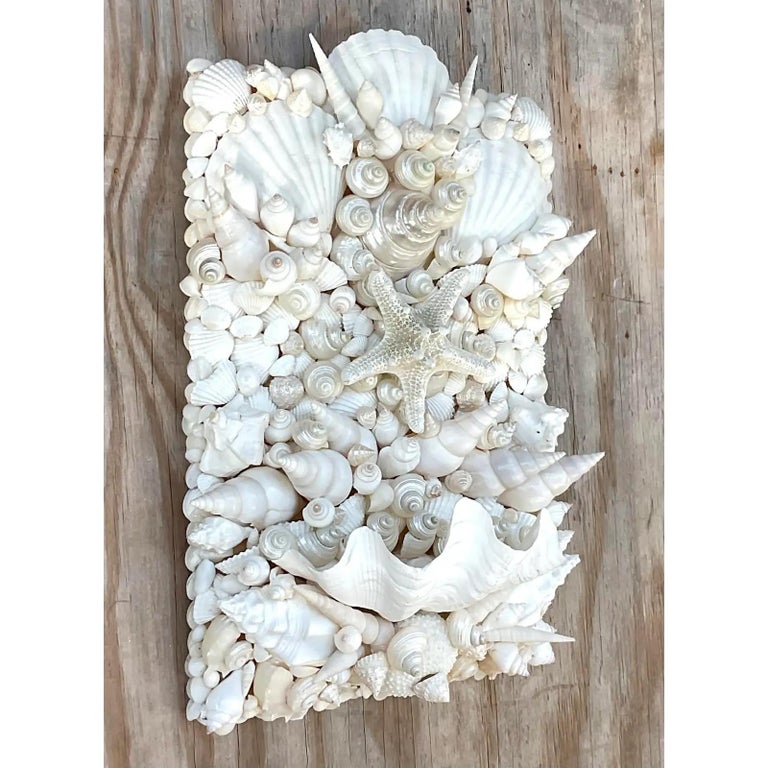 Vintage Coastal Shell Wall Candle Sconce For Sale at 1stDibs