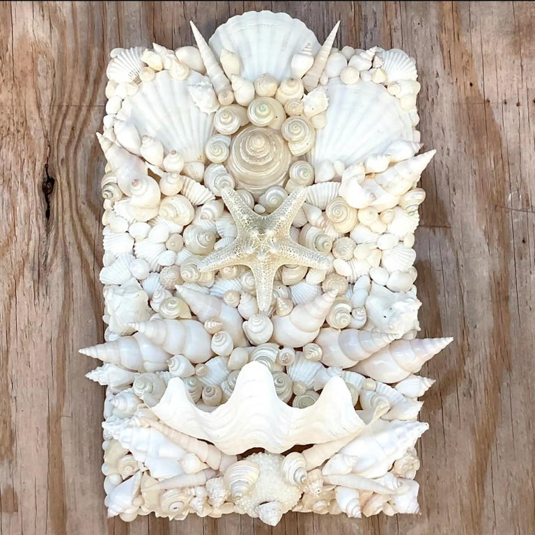 Vintage Coastal Shell Wall Candle Sconce For Sale at 1stDibs