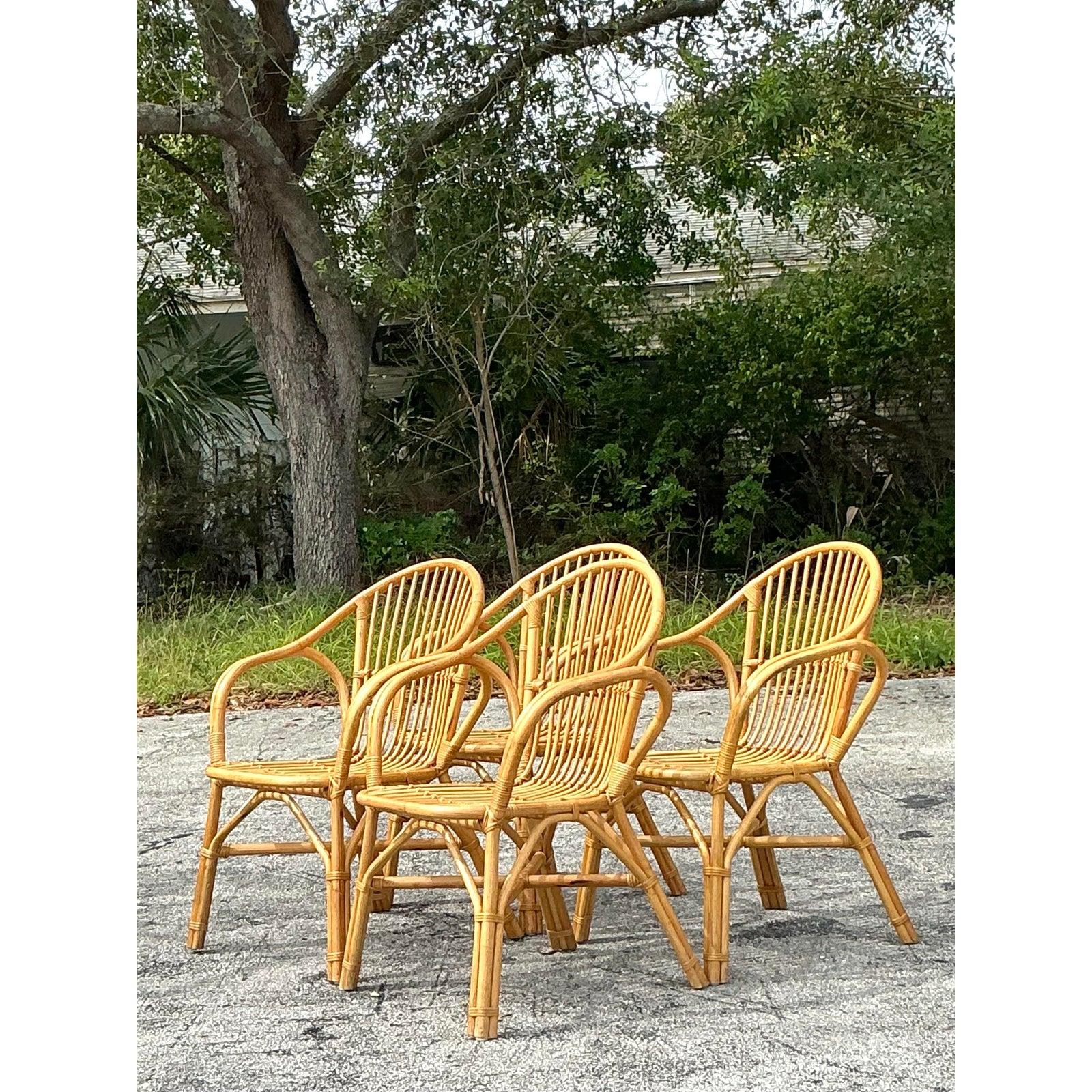 XX secolo Sedie da pranzo in rattan a bastone vintage - Set di 4 sedie in vendita