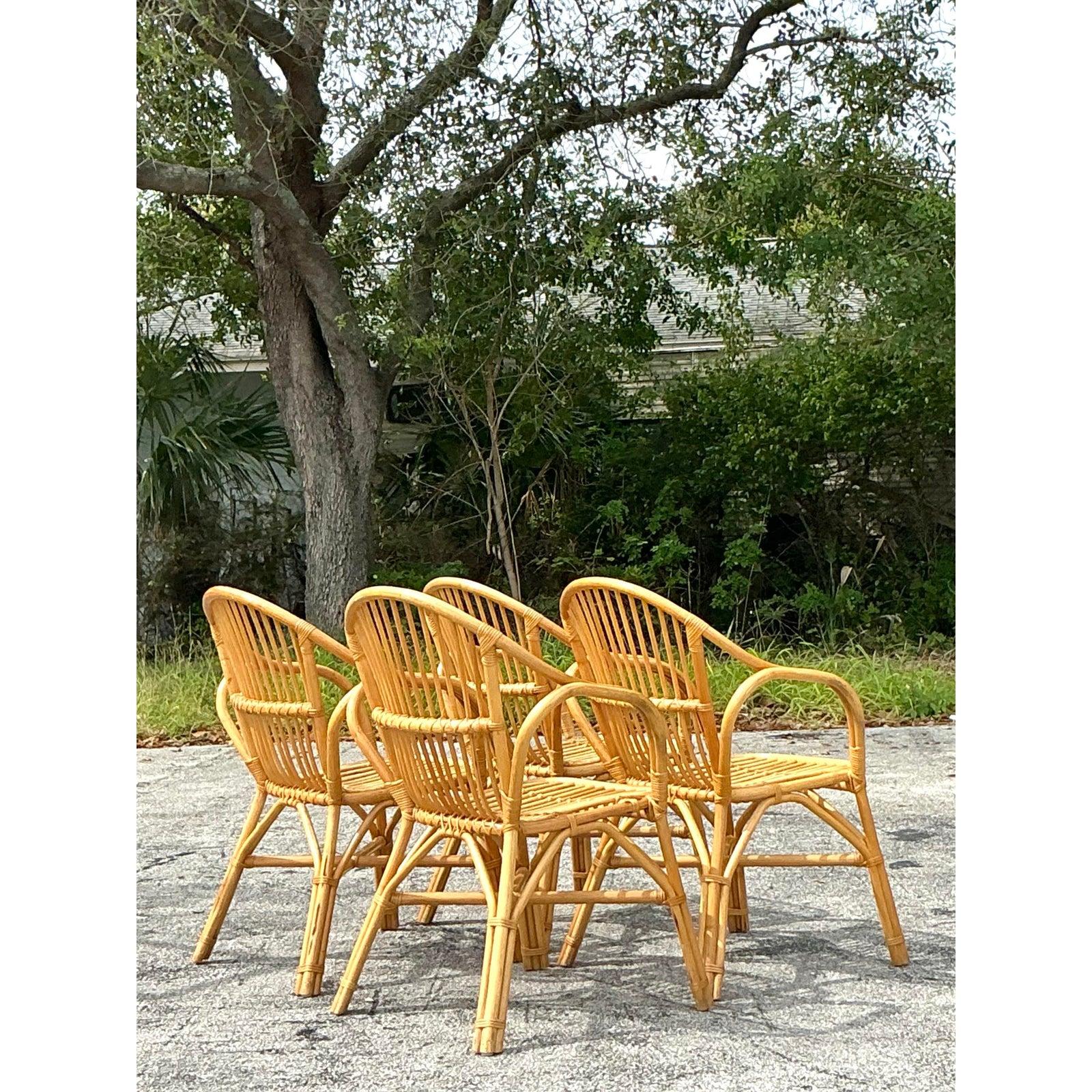 Sedie da pranzo in rattan a bastone vintage - Set di 4 sedie in vendita 1
