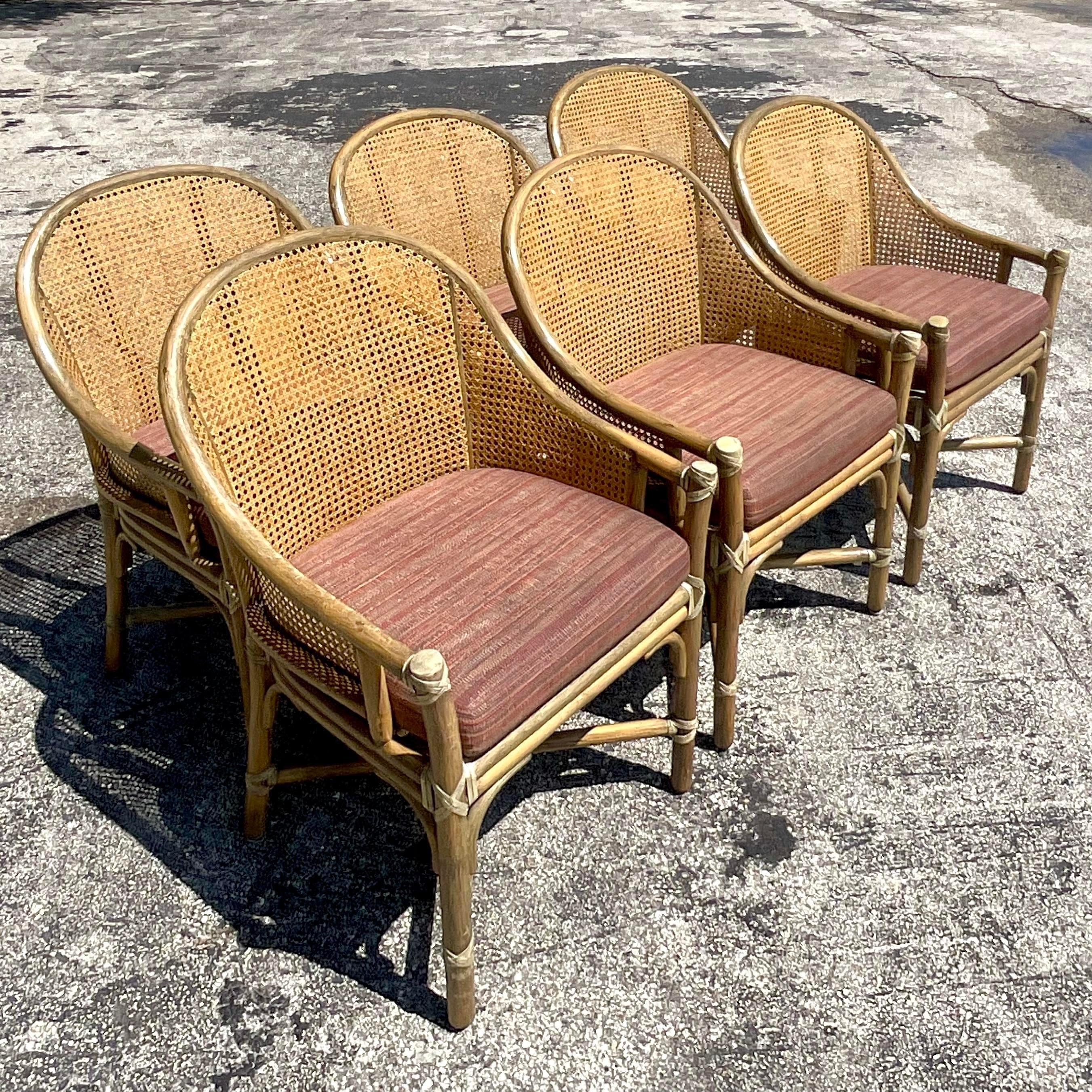 Vintage Coastal Tagged McGuire Cane Dining Chairs - Set of 6 5