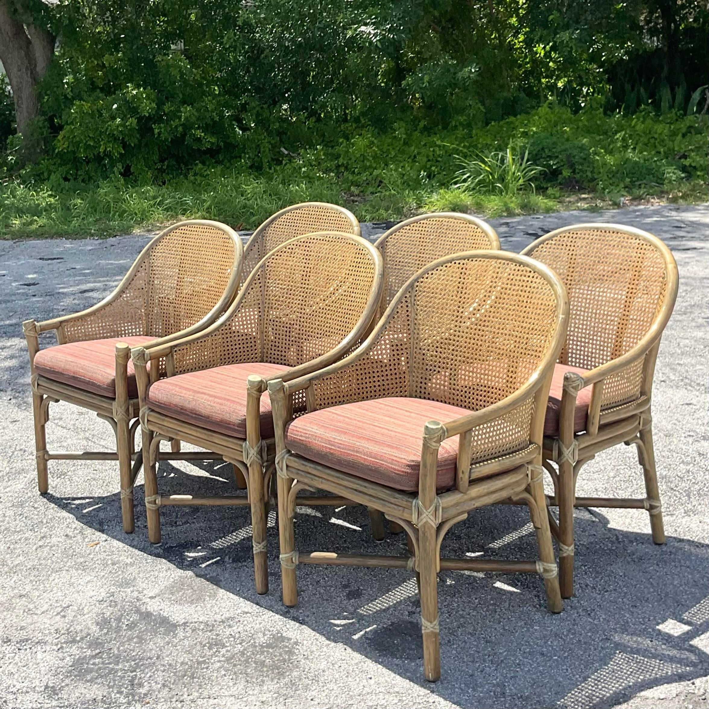 Vintage Coastal Tagged McGuire Cane Dining Chairs - Set of 6 6