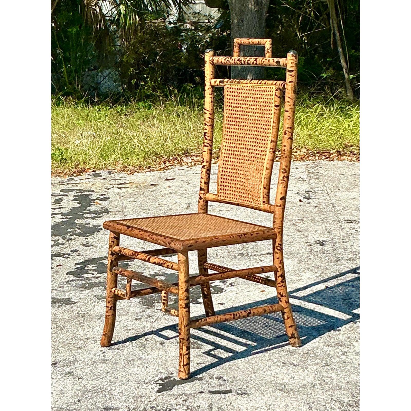 Philippine Vintage Coastal Tortoise Bamboo Cane Chair For Sale