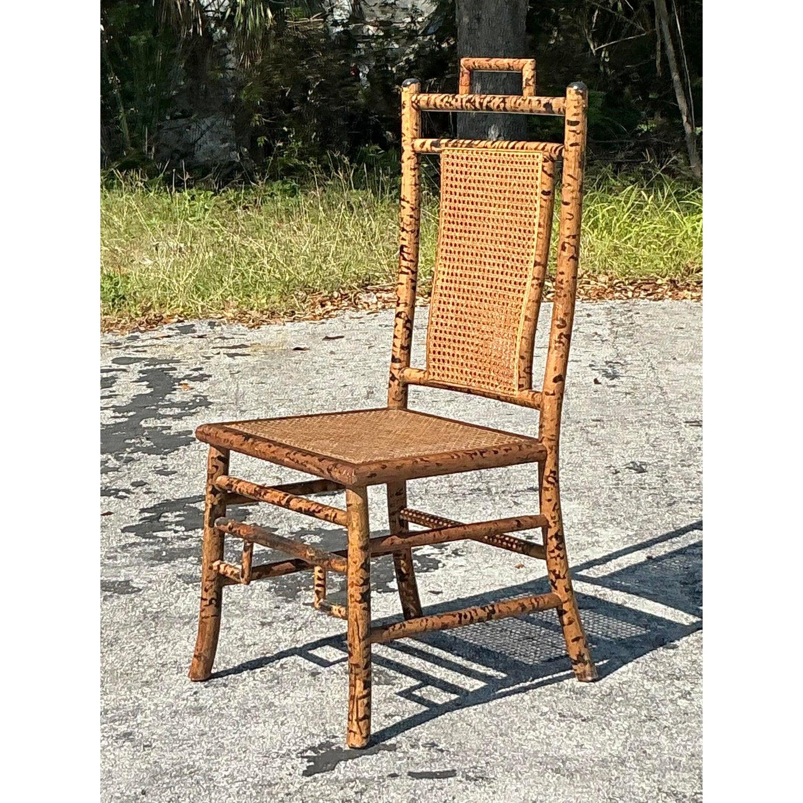 Vintage Coastal Tortoise Bamboo Cane Chair For Sale 1