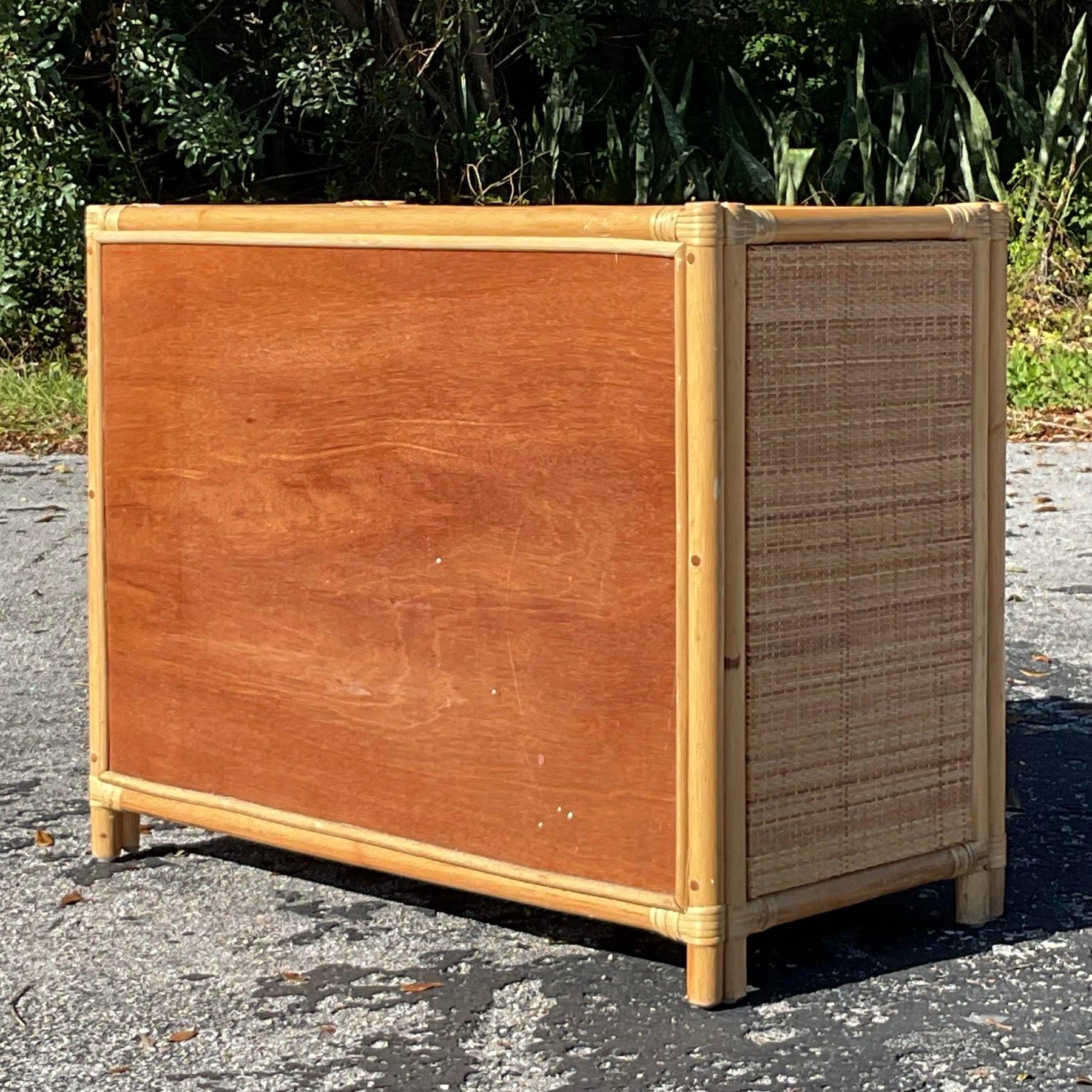 Aporta encanto costero y funcionalidad atemporal a tu espacio con este mueble vintage de ratán enrejado costero. Con un bonito diseño de enrejado y detalles de ratán natural, este armario ofrece un almacenamiento elegante y una textura orgánica. Su