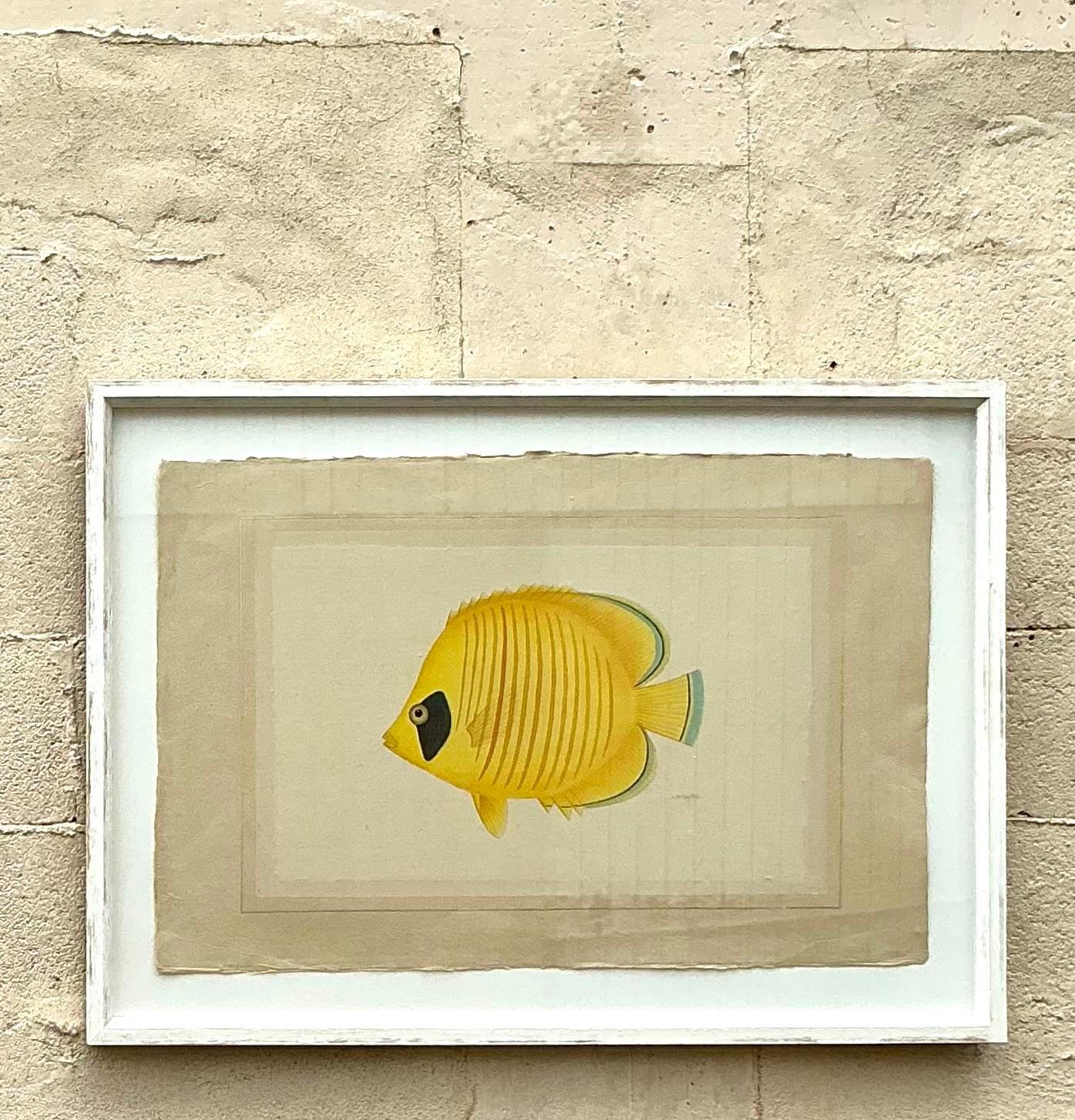 Tauchen Sie Ihr Zuhause in Küstencharme mit dem Aquarell Vintage Coastal On Silk Fish Painting. Dieses Kunstwerk im amerikanischen Stil zeigt zarte Aquarellfische auf Seide, die die heitere Schönheit des Meeres einfangen. Dieses zeitlose Möbelstück