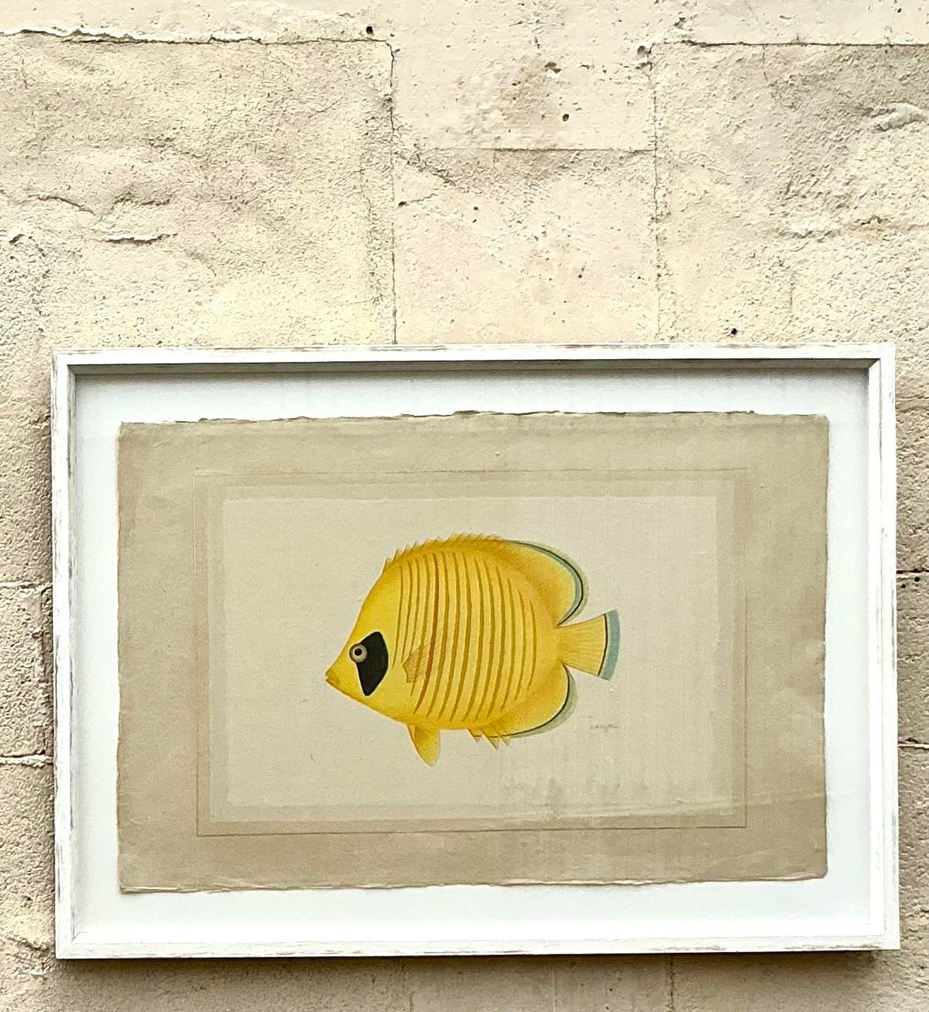 Vintage Coastal Aquarell auf Seide Fisch Gemälde (Nordamerikanisch)